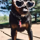 91949707330160320136515942524554217330844690778705415103136322553165343883265