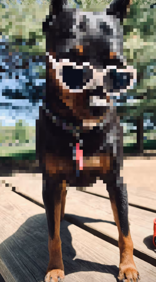 Item #91949707330160320136515942524554217330844690778705415103136322553165343883265 Media