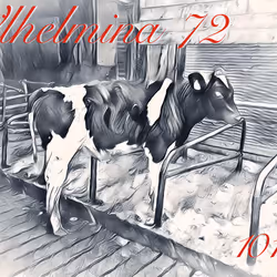 106168068867162485094593885732241547229015412580842941571810197406506389864458