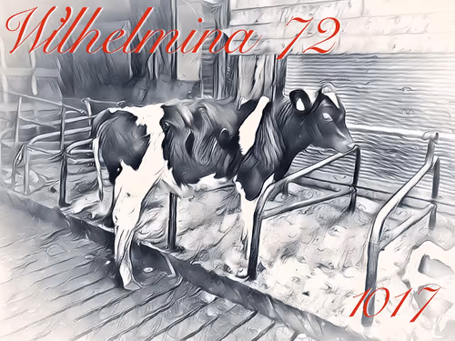 Item #106168068867162485094593885732241547229015412580842941571810197406506389864458 Media