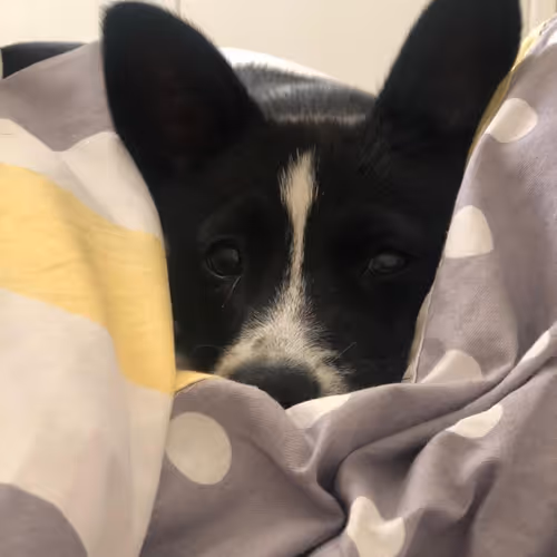 Untitled Collection #35241549