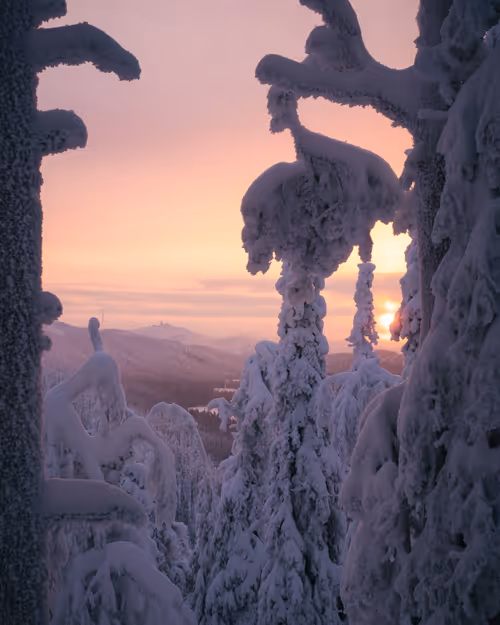 Item #85137439897558800446681939847979956921112818192745958846838338957859945971713 Media