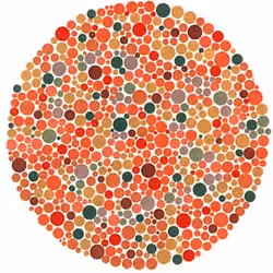 TEST FOR 