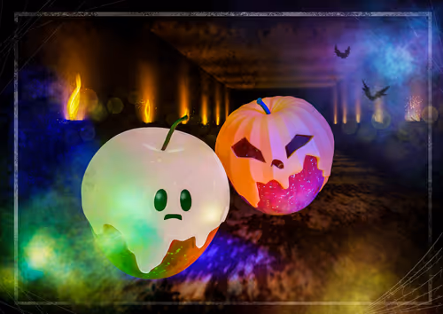 Item #88140982770422731794299039049339384850718016004854939748668041239503965257729 Media