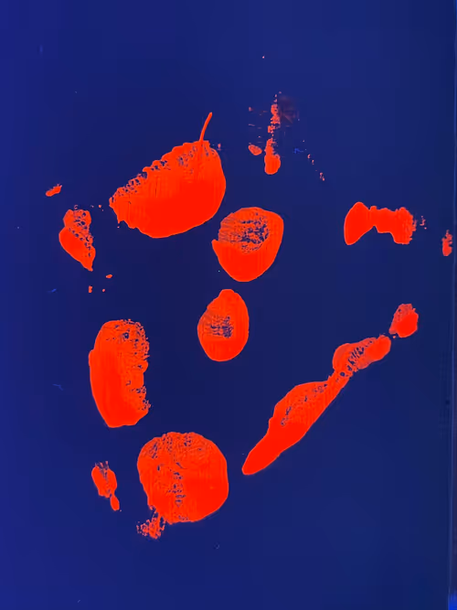 Item #82156306384610747966184862212727550247456131418142315154672423516040828289025 Media