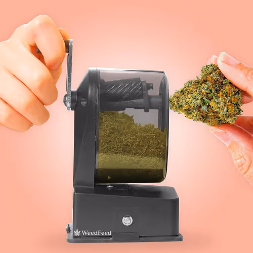 Item #276618171581163995688451181711762959038558310937804576463711777987873472513 Media