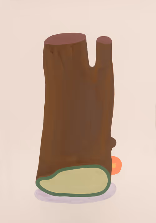 Item #28185994622152497426725328168764701897680889158428147508888235871189059239937 Media