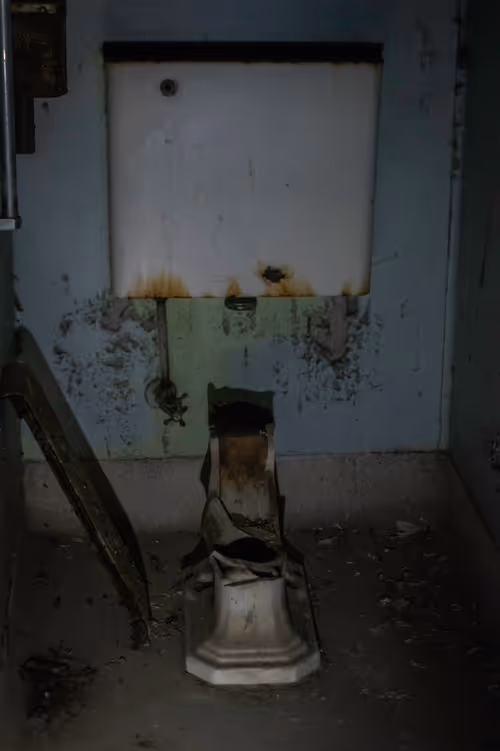 Item #82183435787039742687817407369025087190302189840279601090903984548446352703489 Media