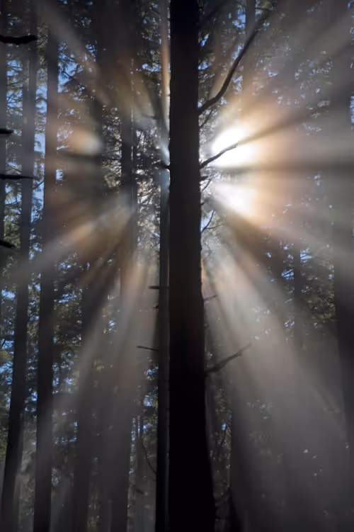 Item #75267556915026964297793292462611950567301118445284821533376532350981514461185 Media