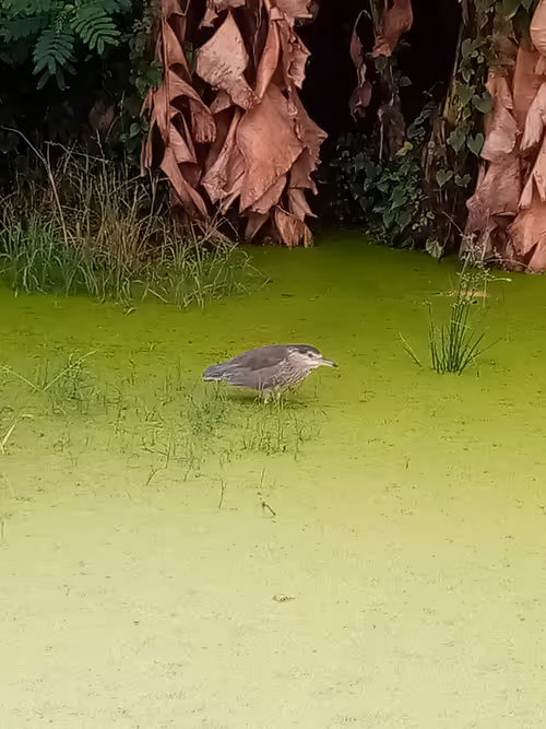 Item #91419314110800337009204889244420491545842303505927805999053350501015208691360 Media