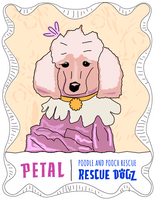 Item #30690731946652718087334591486962028713730520455891869769803774222974394040321 Media