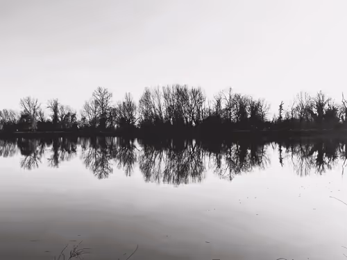 Item #103764119422684224623722489445293252507216323563791008423111522375504502980609 Media