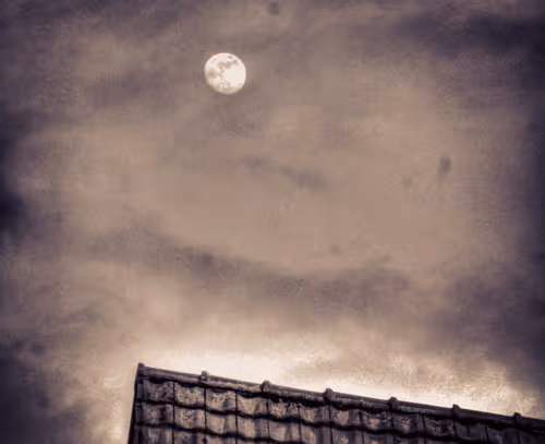 Item #54736737797598049289079547762217551149851068366763038159136004805539846422529 Media