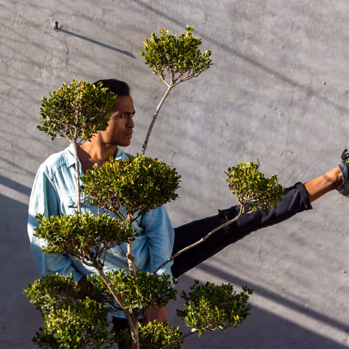 Dancers On Rooftops