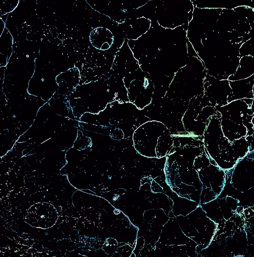 Item #72256936060036278923331537561005506622264708892264959040134690053150667177985 Media