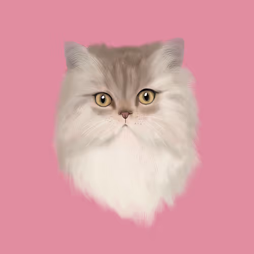 Item #24272124343134340103176744473993871061364753482217001834237997464622064467969 Media