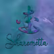 Transformational Guidebook  - Metta