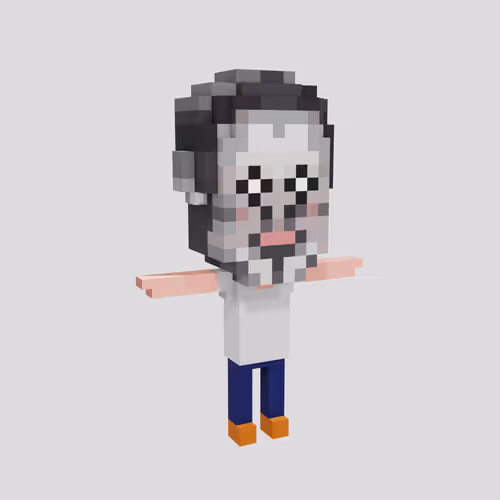 Stoned Voxel Human
