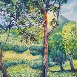 impressive land - 03