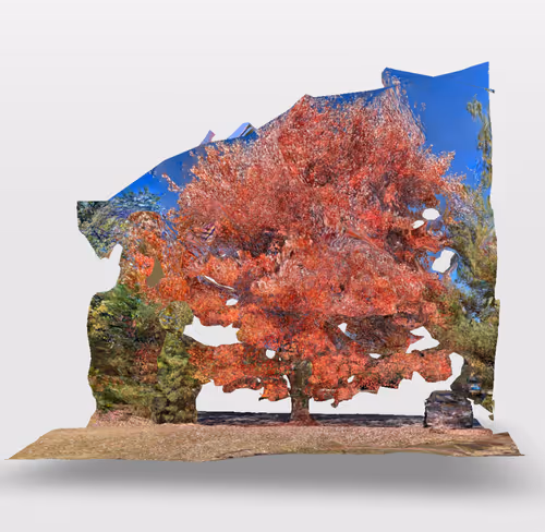 Item #20899119577736056063403061744190860871895294578337900668076554037249768947713 Media