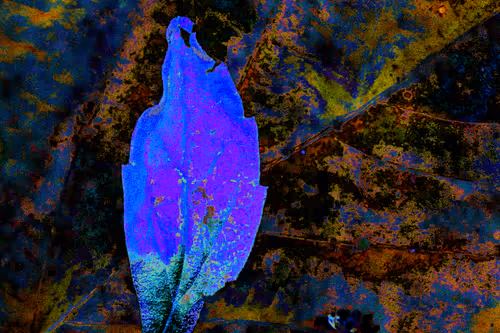 Item #11128123256113201505825332092376579448973501376012613523417643037079554228225 Media