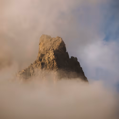 johnwingfield Collection - old