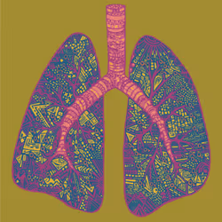 28824502245252267217549902857601847351510039266873569823091148275578109427713