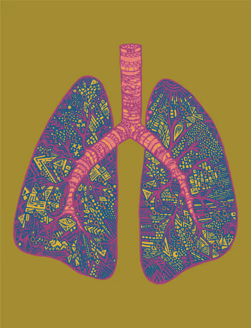 Item #28824502245252267217549902857601847351510039266873569823091148275578109427713 Media