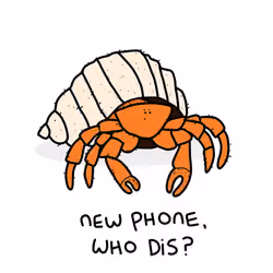100 Grumpy Animals Card 94/100: Grumpy Hermit Crab