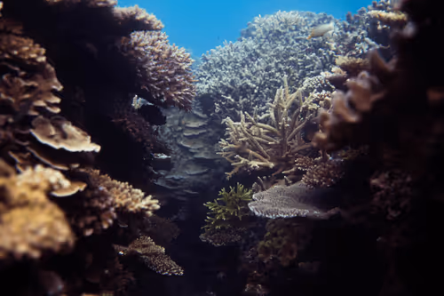 Item #99926930229538675438917090631619995362212113699001151744757174479324362834020 Media