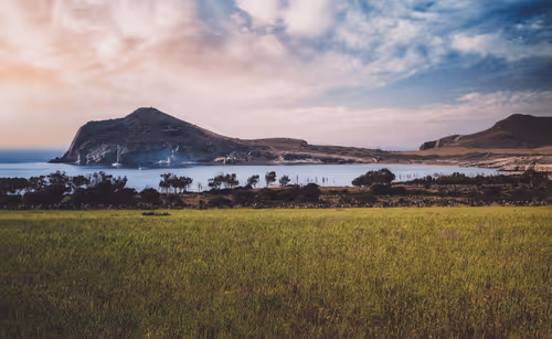 Item #96927138123694371990624378573919196862016558693078256504060925370132368195585 Media