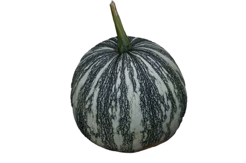 Item #35733408950682889513496686103591328439267245450055177033221291806529719107585 Media