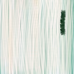 Indif009