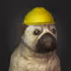 54981226985086508539165857413786484019311024917486408417214996832850320293893