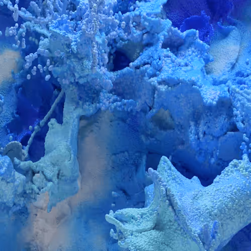 Sense of Healing - NFT Collection