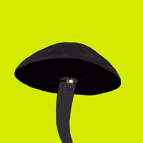 Fungi Breakout Room