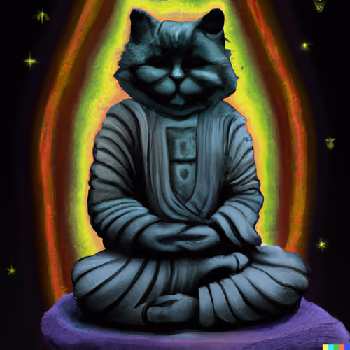 Meditating Cat