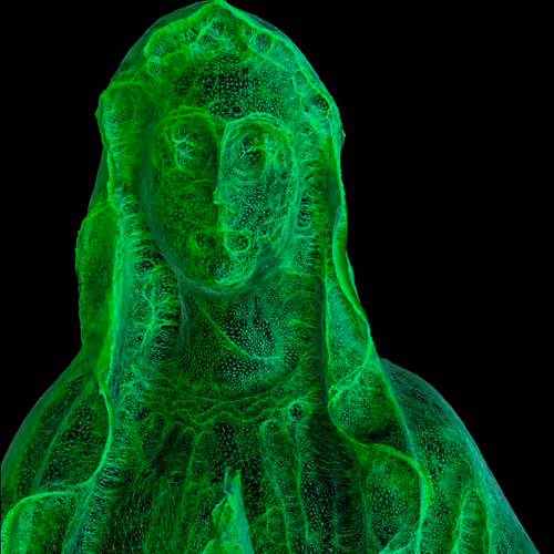 18792996558597511120247018636127735296967260938544846585283093787923808518145