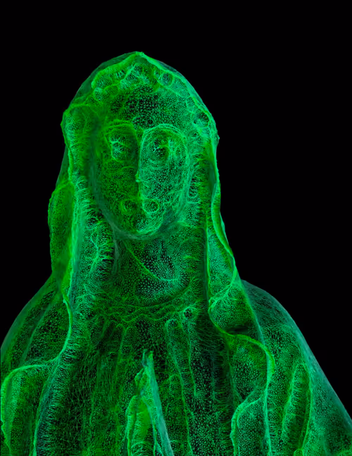 Item #18792996558597511120247018636127735296967260938544846585283093787923808518145 Media