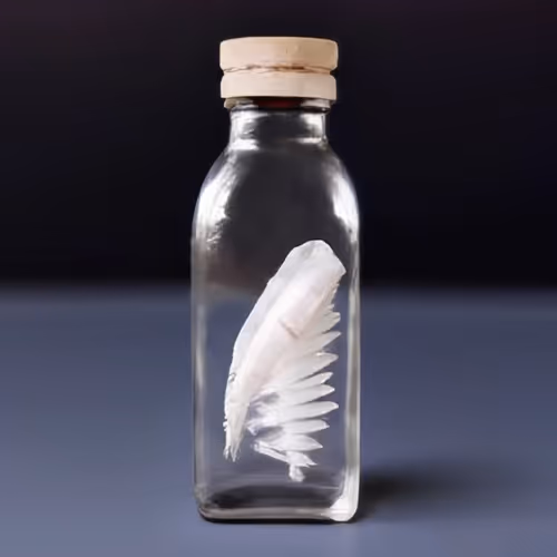 Item #16773130033193857086017439881678967657161459487205602915967705302039661641737 Media