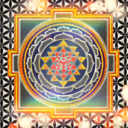 52803421592146788917747273912691954028356282473035812435731413919557922848769