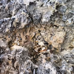 Lava Rock Lava Rock