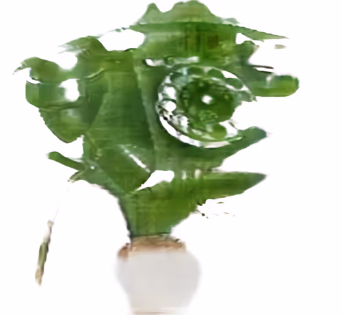 Item #34571563386459127761261740546366153221129147098234432782485651007157798174721 Media