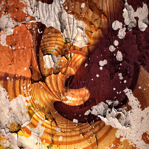 Item #104837478941086639880617134264036724313791188208424415548610208122872386289665 Media