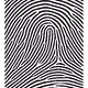3799515490220879732882333409938015140683167415382329987461811140928148078593