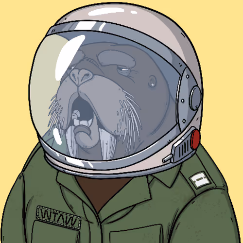 Item #31488829239088319770893970379597079445996421138457549897503302987901478895617 Media