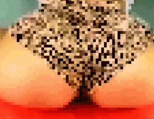 flowsafethruspace Collection - old V2