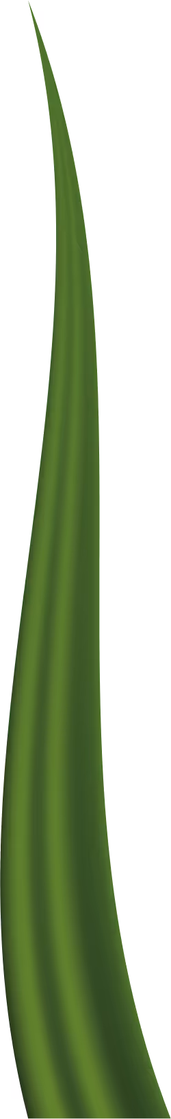 Item #78763235517899702300642317908544281341520076745003203023483945962022379716609 Media