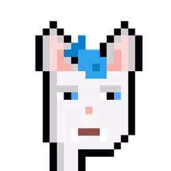 Anonycat#9957