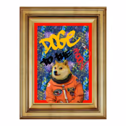 The Doge 